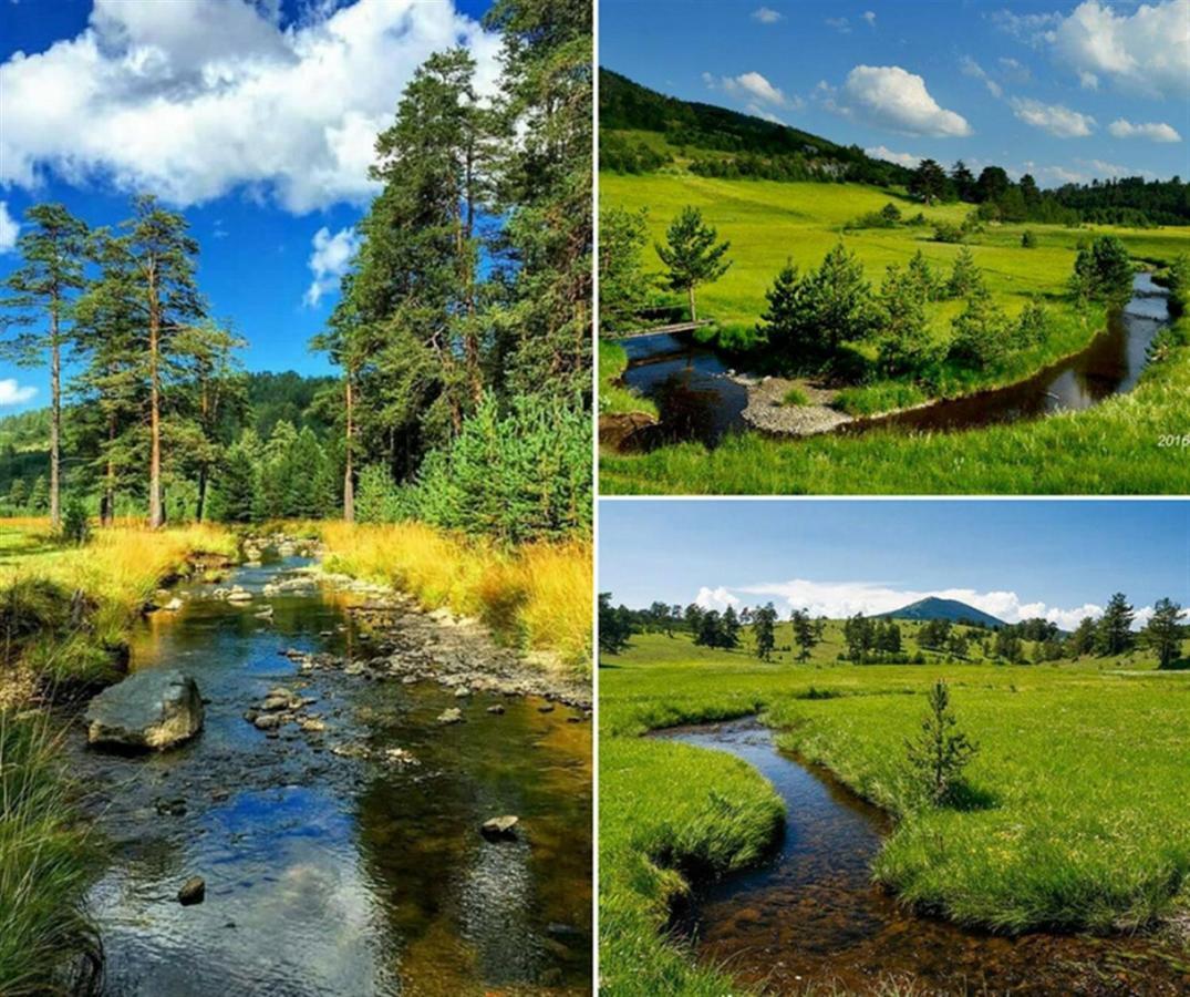 Ferienwohnung Centar! Lara Zlatibor Exterior foto